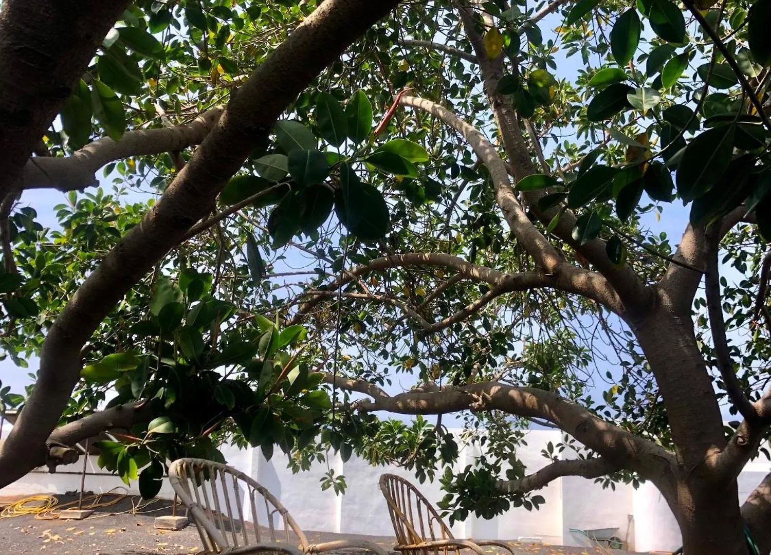 Villa Luciano 